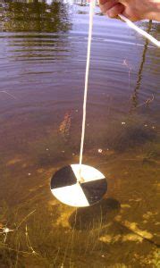 Inside the Water Column: The Secchi Disk - American Sport Fish