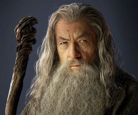 Dress Like Gandalf the Grey Costume | Halloween and Cosplay Guides