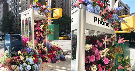 a bountiful bouquet emerges from this new york city phone booth