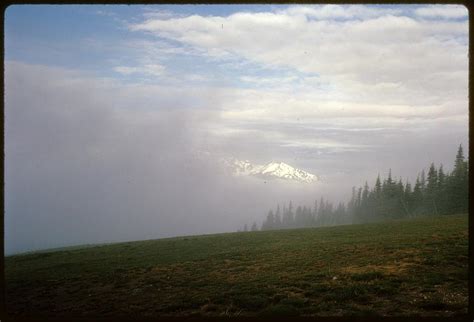 Landscape with open grass area, trees, and mountaintops, probably ...