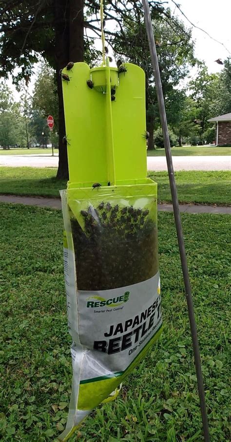 Highlands Country Club Agronomy: Japanese Beetle Traps...