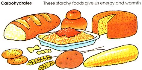 Carbohydrate Drawing at GetDrawings | Free download