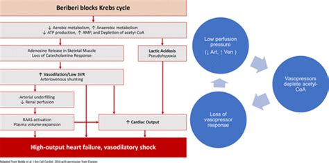 An Unusual, Reversible Cause of Acute High-Output Heart Failure ...