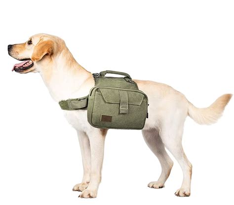 Hiking Gear Dogs | Adventure Outdoor