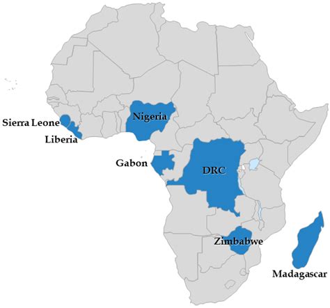 Africa’s 2023 Elections: Democratic Resiliency in the Face of Trials | Oracle News Daily