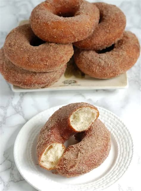 Sourdough Donuts with Cinnamon Sugar - Baking Sense®