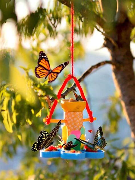 15 Best DIY Butterfly Feeder Ideas For Your Garden - DIY Crafts