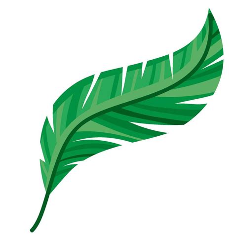 green feather design over white 24719225 Vector Art at Vecteezy