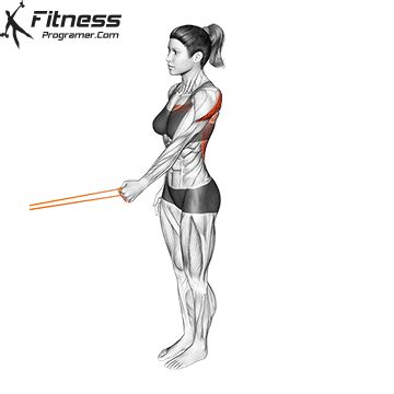 Banded Shoulder Extension » Workout Planner