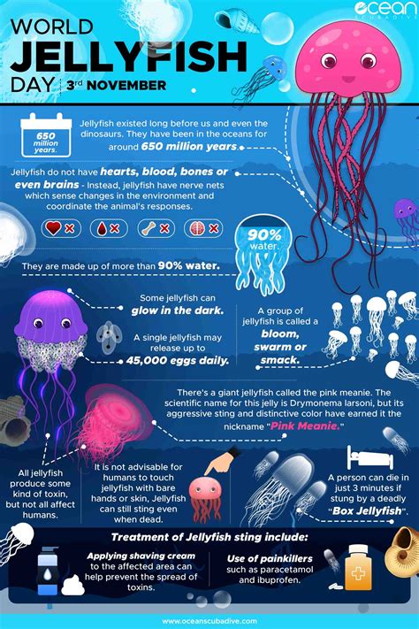 Types of Jellyfish [10 Different Jellyfish Species] | Ocean Scuba Dive