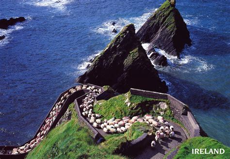 IRLANDESES EN LA PLATA: DUNQUIN PIER, CONDADO DE KERRY