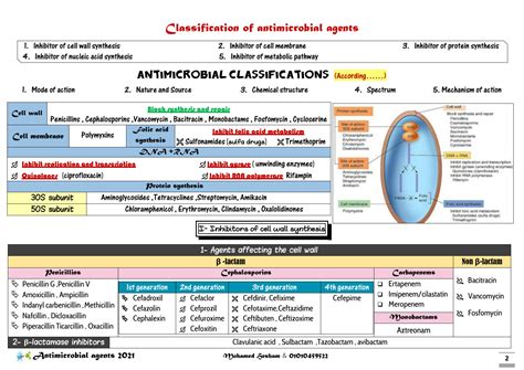 SOLUTION: Classification of antimicrobial agents - Studypool