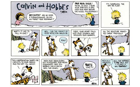 Calvin and Hobbes #01 | Read All Comics Online