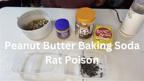 Peanut Butter Baking Soda Rat Poison - Rabbit Meat For Sale Online