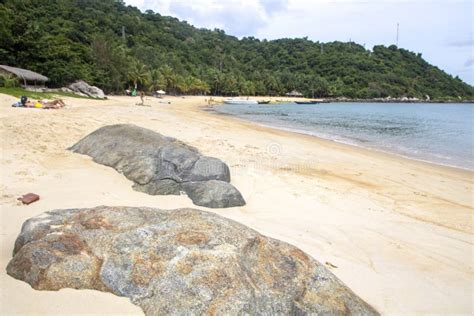 Cu Lao Cham stock photo. Image of marine, paradise, reserve - 173504478