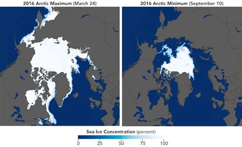 Arctic Sea Ice Map