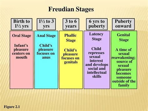 PPT - Child Development Theories PowerPoint Presentation - ID:174952