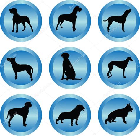 Dog collection in buttons — Stock Vector © violeta #2319400