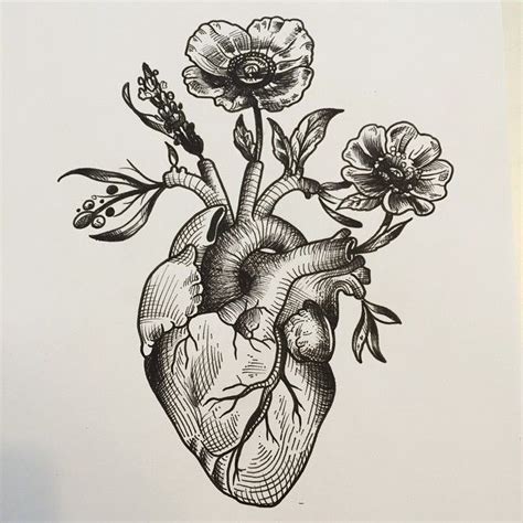 I like this ** anatomical coronary heart woodcut - Google Search... | Tattoos, Trendy tattoos ...