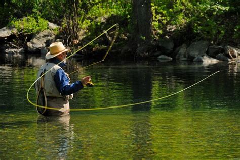 Trout Fishing - Bear River Lodge CA