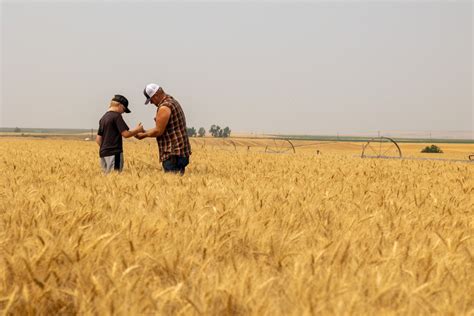 Passing Down the Family Farm | Crop Science US