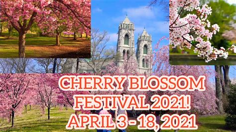 Newark Cherry Blossom Festival 2022 - Moon Festival 2022