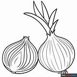 Onion Coloring Page  Easy Drawing Guides sketch template
