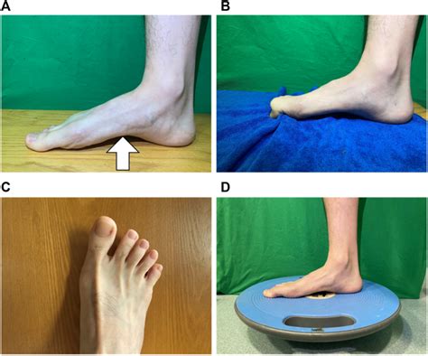 | Foot core exercise. (A) short foot exercise; (B) towel curls; (C) toe ...