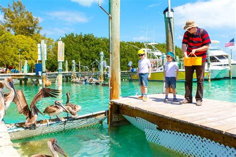 7 Best Family Things to Do in Florida Keys - Fun Places in the Florida ...