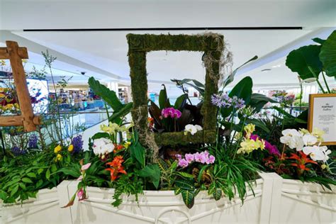 Photos: It’s a Floral-Ganza at the Macy’s Flower Show - Parade