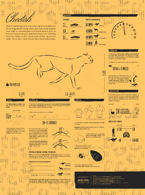 20 Great Infographics of 2012 2012 has certainly been an eventful year ...