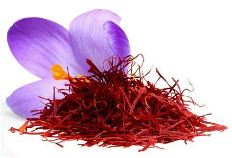 Bunga Saffron Fungsinya - Gambar Bunga Indah