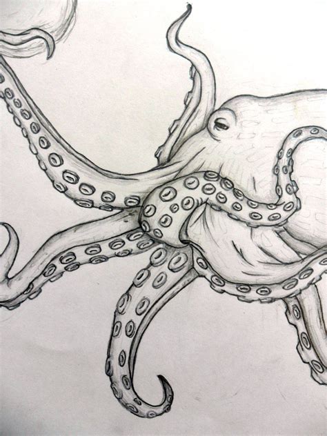 Realistic Octopus Drawing | Realistic Octopus Drawing Pictures | Octopus drawing, Octopus sketch ...