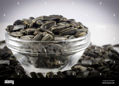 Black sunflower seeds Stock Photo - Alamy