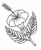 Free Printable Hibiscus Coloring Pages For Kids sketch template