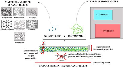 Polymers | Free Full-Text | The Effect of Nanofillers on the Functional Properties of Biopolymer ...