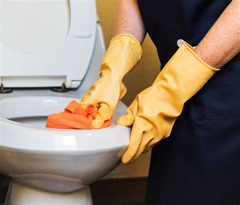 Get the Plunger! 3 Reasons Why Your Toilet Keeps Getting Clogged ...