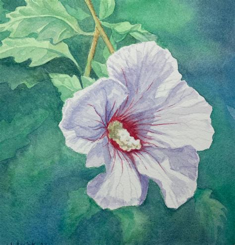 Purple Hibiscus by Assink-art on DeviantArt