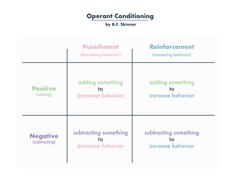 7 Skinner Used the Term Operant Conditioning to Describe