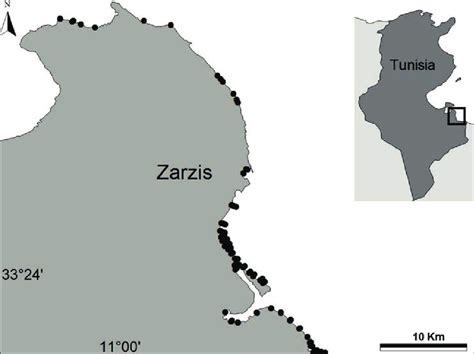 Map of the study area, indicating the sampling location (Zarzis ...