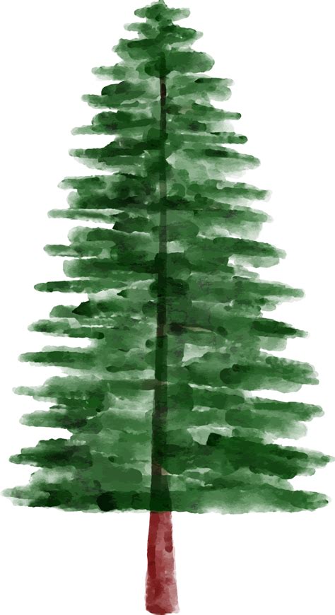 Watercolor Pine Tree Clip Art 12521515 PNG