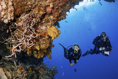 Diving Wakatobi 'your way'