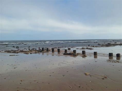 Whitley Bay beach. Low tide | Beach scenes, Beach, Beach walk