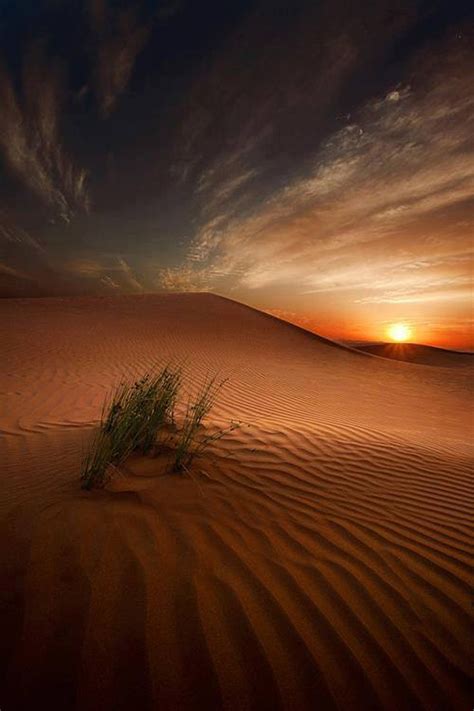 Sunset Morocco Desert | Paesaggi, Bellissimi sfondi, Natura