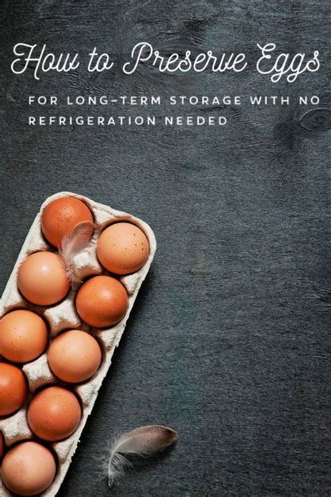 How to Preserve Eggs for Long Term Storage with No Refrigeration | Homemade heavy cream ...