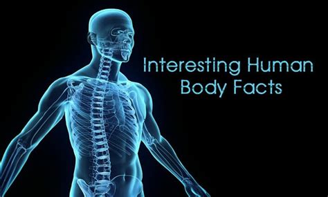 Mind blowing Facts about Human Body