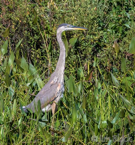 Eagles Nest Hike - Jim Block Photography