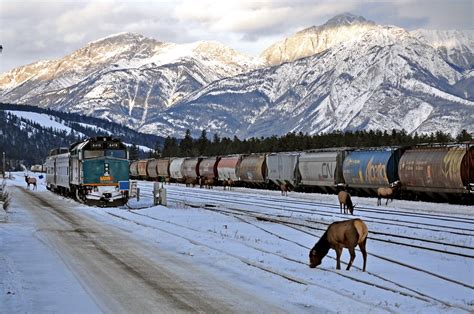 VIA Rail Canada - photos and discussion | West Coast Ferries Forum