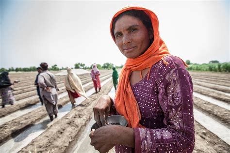 Female Farmer Becomes a Role Model in Pakistani Cotton Community