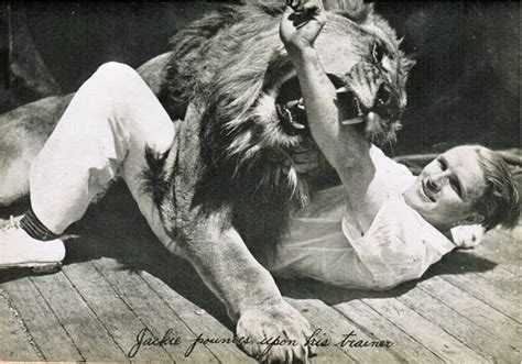 Incredible Behind the Scenes Photos From the Making of the MGM Lion Logos ~ vintage everyday